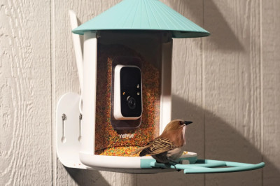 Birdfy’s solar-powered smart feeder is down to one of its best prices