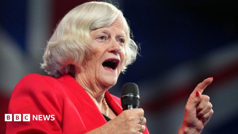 Widdecombe police reopen investigation into incident at Farage's home, BBC understands