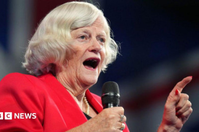 Widdecombe police reopen investigation into incident at Farage's home, BBC understands