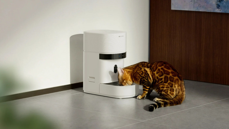 Cats and dogs are missing meals after a popular smart feeder went down