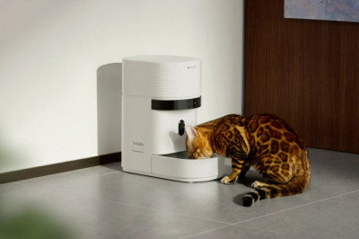 Cats and dogs are missing meals after a popular smart feeder went down